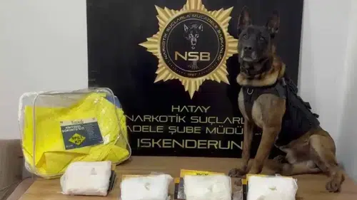 Tam 420 Kilogram Zehir Üretilecekti! İskenderun’da Yakalandı