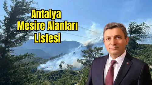 Antalya'da Ormana Girişler Yasaklandı! Mesire Alanlarına Saat Ayarı