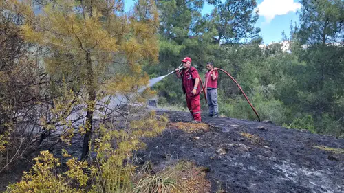 Serik’te Orman Yangını Anında Müdahale İle Söndürüldü