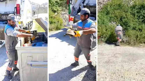 Caninin Biri Çöpe Attı, Alanya Belediyesi Temizlik Görevlisi Kurtardı