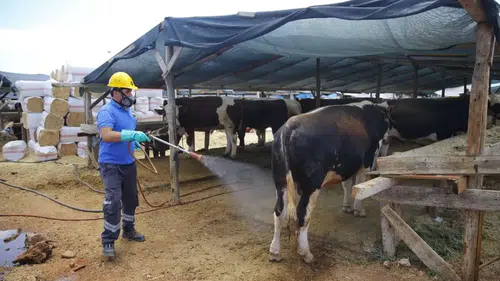 Antalya Büyükşehir Bayram Hazırlıklarını Tamamladı