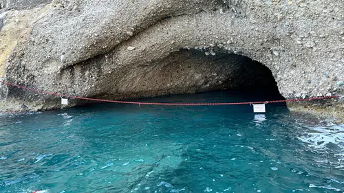 Nesli Tükenmekte Olan Akdeniz Foklarına Kemer’de 'Gizli Yuva'