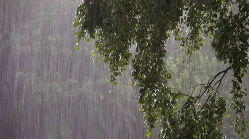 Adana'ya Sağanak Yağış Uyarısı! Meteoroloji 5 Günlük Raporu Yayınladı