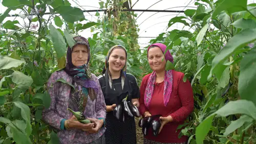 Aksu’da 45 Derecede Üç Kuşak Kadın Üretici Sofralar İçin Ter Döküyor