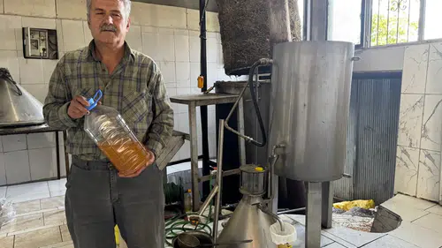 31 Çeşidi İhraç Ediliyor, Gramı 18 Liraya Alıcı Buluyor
