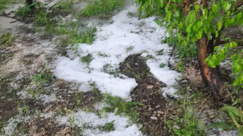Isparta’da Sağanak ve Dolu Kabusu: Meyve Bahçeleri Büyük Zarar Gördü