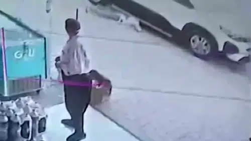 Faciadan Saniyelerle Dönüldü! Adana'da Aracın Altına Giren Çocuğu Böyle Kurtardı.