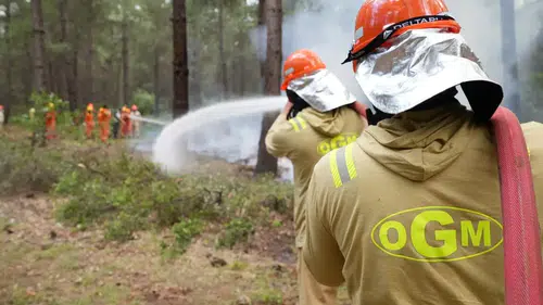Orman Yangını Sezonu Öncesi Antalya'da Tarihi Zirve