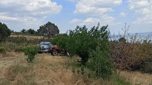 Eğirdir'de Zirai Alanda Yangın: Ekipler Büyümeden Söndürdü