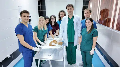 Yürüyemez Denilen 'Balım' İçin Mucize Dokunuş: 3 Boyutlu Protezle Yeniden Koşuyor!