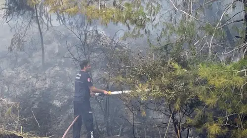 Antalya Aksu’da Ormanlık Alanda Yangın Paniği: Ekipler Seferber Oldu