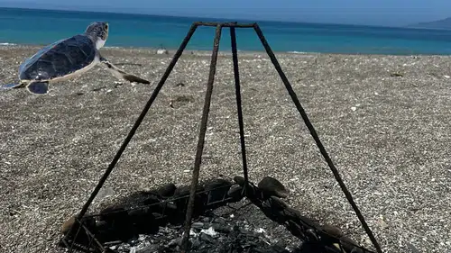 Kumluca'da Akılalmaz Görüntü! Caretta Caretta Yuvalarında Mangal Yaktılar