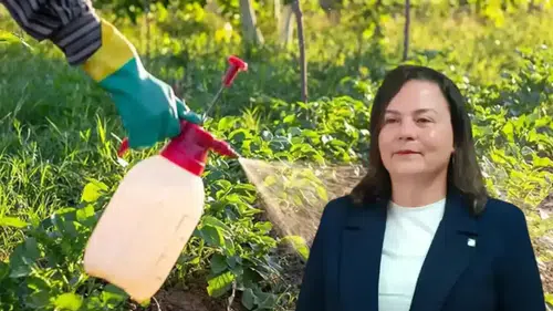 Ziraat Mühendisleri Odası Uyardı: Tarımda ‘B-Reçete’ Çıkmazı