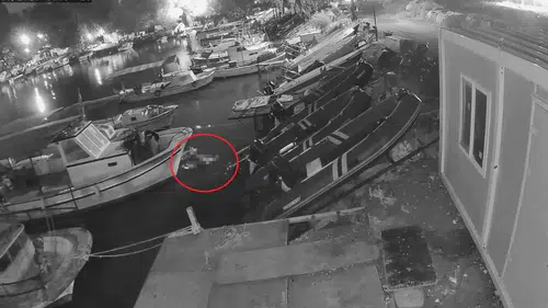 Hatay'da Çırpınarak Can Verdi! Güvenlik Kameraları Feci Anları Kaydetti