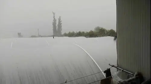 Kumluca’da Çiftçinin Emeği Delik Deşik Oldu! Fırtına ve Dolu Seraları Vurdu