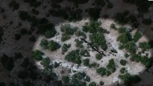Mersin'de kaybolan 40 küçükbaşa dronlu takip: Sahibine teslim edildi