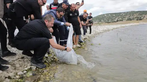 Antalya'da Özel Büyütülen 107 Bin Yavru Balık Gölete Salındı