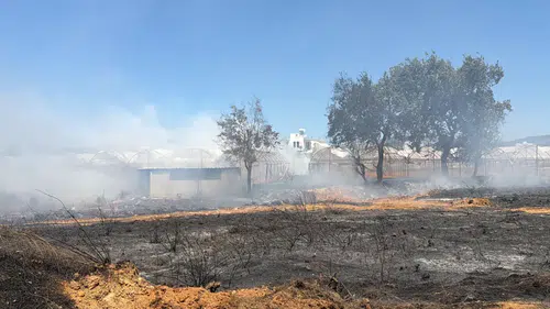 Gazipaşa'da Sera Yangını! Alevler 7,5 Dekarlık Üretim Alanını Kül Etti