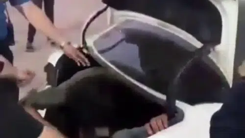 Hatay’da Kaçak Göçmen Operasyonu: Bagajdan 4 Kişi Çıktı