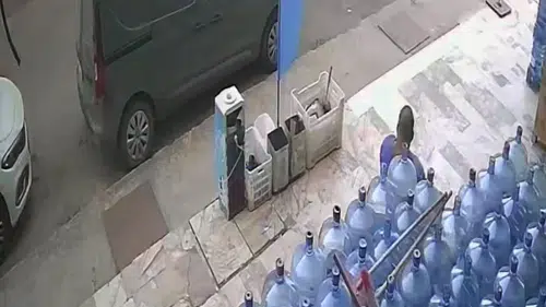 Kediyi Önce Sevdi, Sonra Yere Fırlattı! Alanya'da Tepki Çeken Görüntü!