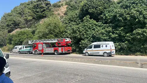 Hatay’da Ağaçlık Alanda İncir Ağacına Asılı Ceset Bulundu