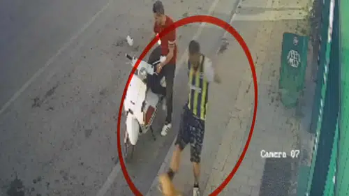 Samsun'da Kediyi Tekmeleyen Saldırgan Yakalandı