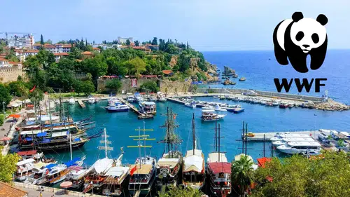 WWF Platformunda Büyük Başarı: Antalya İklim Projeleriyle Finalde
