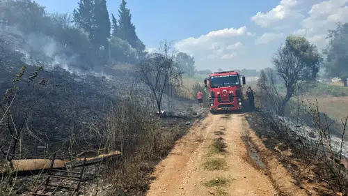 Serik'te Yangın Paniği: Alevler Evlere Ulaşmadan Durduruldu