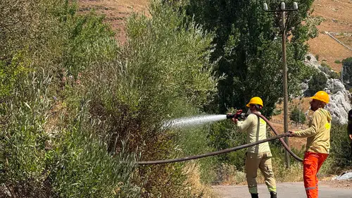Alanya'da Korkutan Yangın: Ormana Sıçramadan Söndürüldü