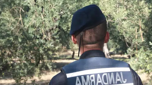 Manavgat’ta Jandarmadan Hayat Kurtaran Müdahale