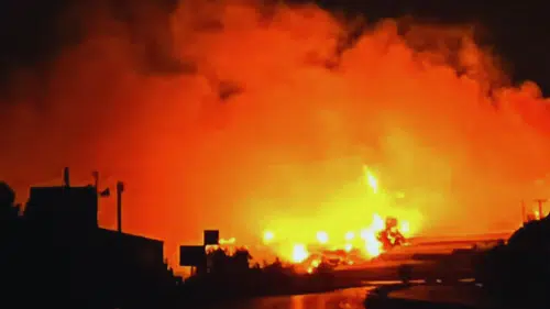 Yangın Muz Seralarını Vurdu! Alanya'da 17 Hektar Zarar Gördü