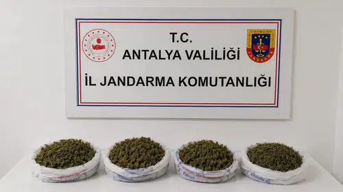 Alanya’da Uyuşturucu Operasyonu: 1 Kilo 979 Gram Esrar Ele Geçirildi