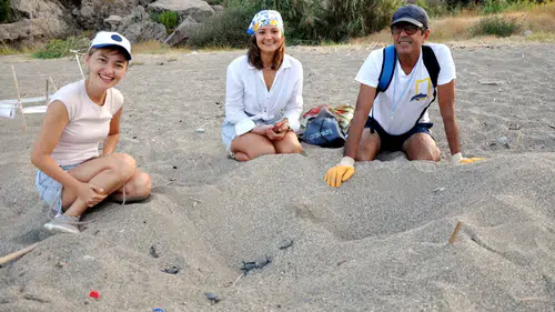 Yürek Isıtan Seferberlik! Yabancılar Caretta Carettalar İçin Gönüllü Oldu