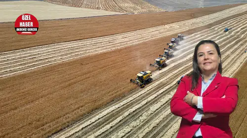 ZMO Antalya'dan Hububat Rekoltesi Değerlendirmesi