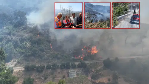 Alanya Yangını: 150 Ekip, 786 Personel, 244 Araç, 2 Uçak ve 12 Helikopterden Müdahale