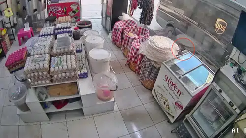 Kamyonetin Altında Kalan 4 Yaşındaki Çocuk Mucize Eseri Kurtuldu!