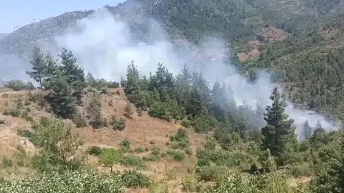 Adana Feke'de Orman Yangını: Ekipler Seferber Oldu