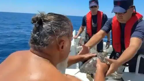 Alanya'da Deniz Kaplumbağası İçin Kaptan Suya Atladı