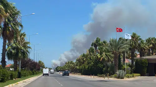 Antalya Kepez'de Orman Yangını: Ekipler Seferber Oldu
