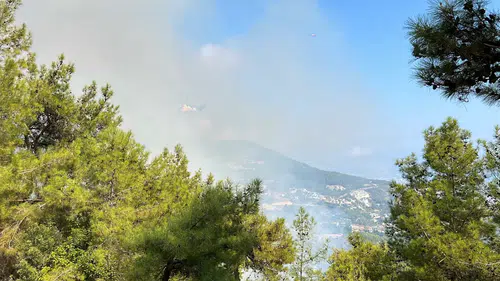 Alanya ve Konyaaltı'da Orman Yangını