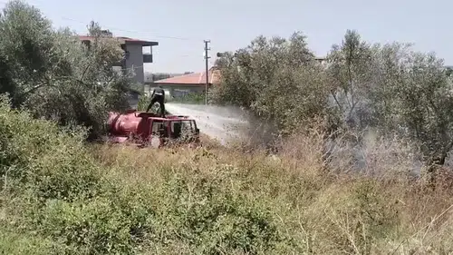 Ilıca Mahallesi'nde Korkutan Yangın: Zeytin Ağaçları Zarar Gördü