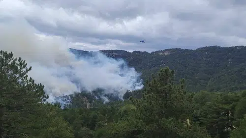 Manavgat'ta Orman Yangınına Havadan ve Karadan Müdahale Sürüyor!