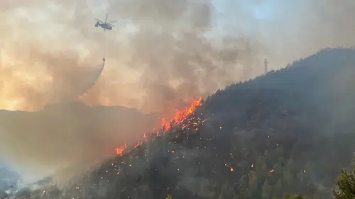 Antalya Dahil 25 İlde 73 Orman Yangını: 12 Şüpheli Tutuklandı