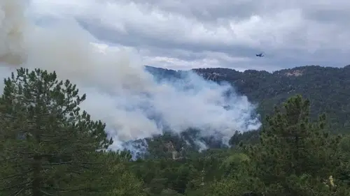 Manavgat'ta Orman Yangını Çıktı! Beşkonak'tan Alevler Yükseldi