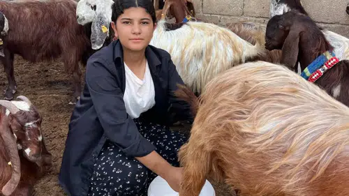 16 Yaşındaki Esmanur 5 Keçiyle Başladı, Sürüsünü 30’a Çıkardı!