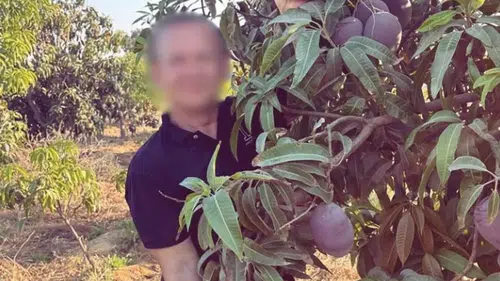 Canlı Yayından Gözaltına: Alanya'da Eşini Yaralayan Şüpheli Adliyede