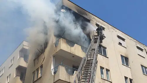 Muratpaşa'da Alevler 2 Daireyi Sardı: Hamile Kedi Merdivenle Kurtarıldı