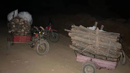 Hassa'da Ormanda Usulsüz Kesim Yapan Şahıslar Suçüstü Yakalandı