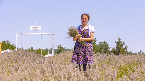 Mersin'de Kadın Girişimcinin Lavanta Tarlası Markalaştı