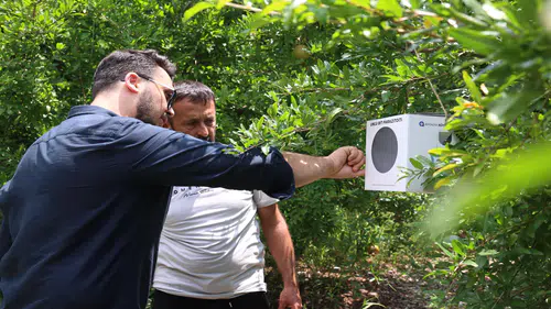Tarımda Kimyasal Dönem Kapanıyor Antalyalı Üreticiye Faydalı Böcek Desteği